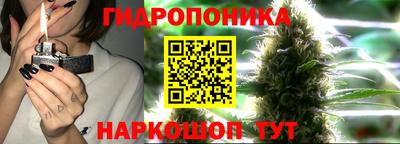 шишки Бугуруслан