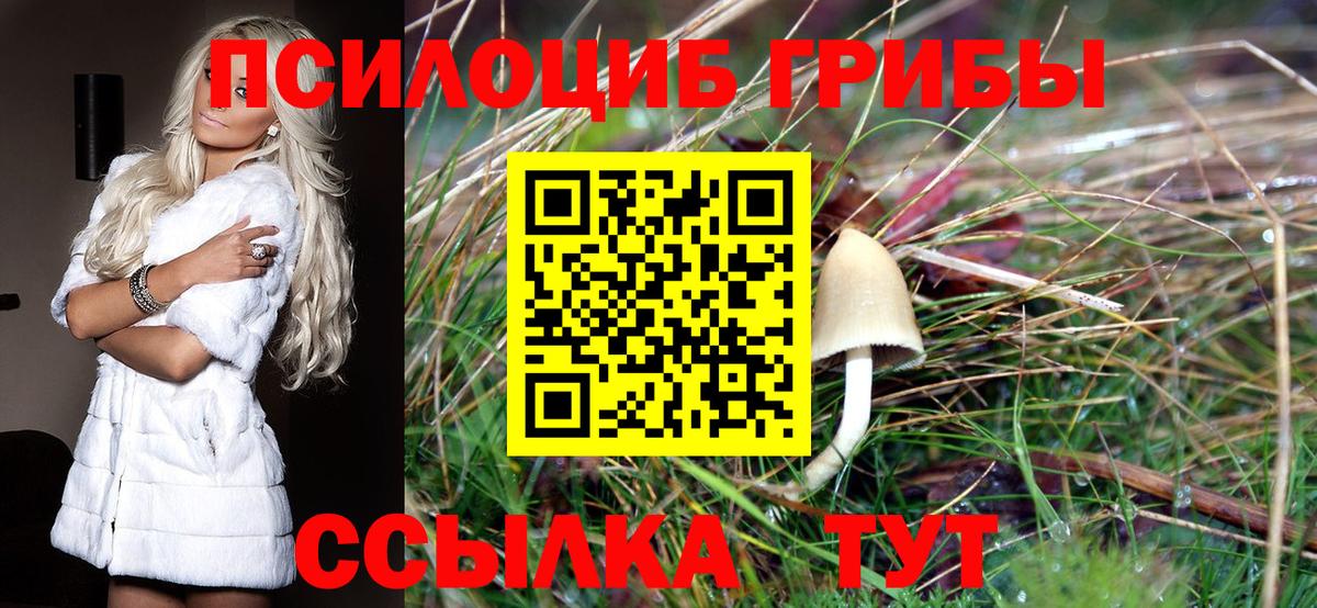 Галлюциногенные грибы прущие грибы  Вход с VPN  Галлюциногенные грибы Magic Shrooms  Унеча 