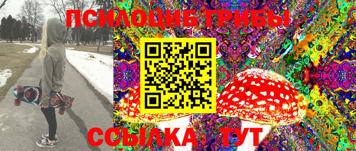 Галлюциногенные грибы Cubensis Унеча